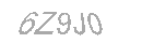 Güvenlik Kodu