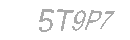 Güvenlik Kodu