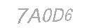 Güvenlik Kodu