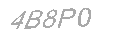 Güvenlik Kodu