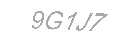 Güvenlik Kodu