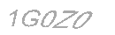Güvenlik Kodu