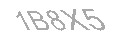 Güvenlik Kodu