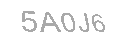 Güvenlik Kodu